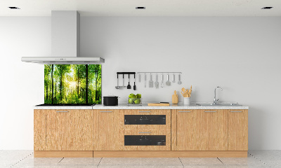 Küchen wandpaneel Wald in der Sonne
