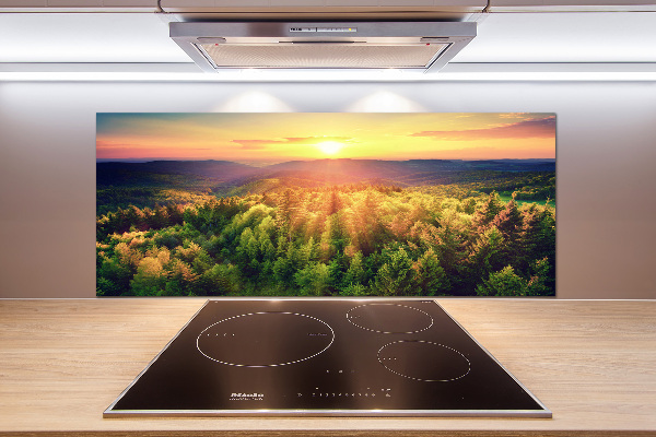 Glasrückwand für die küche Sonnenuntergang im Wald