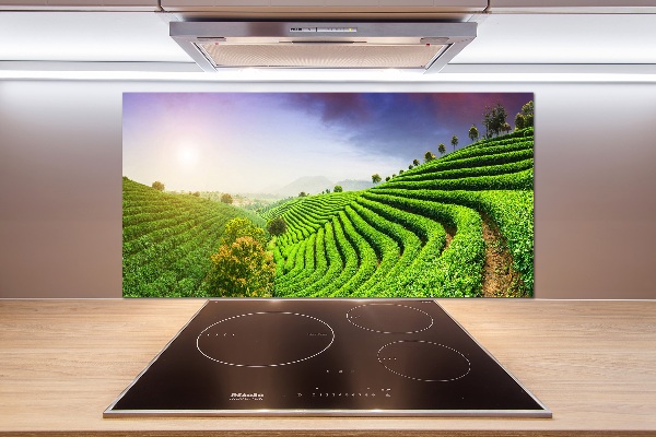 Platte für Küchenrückwand Teeplantage