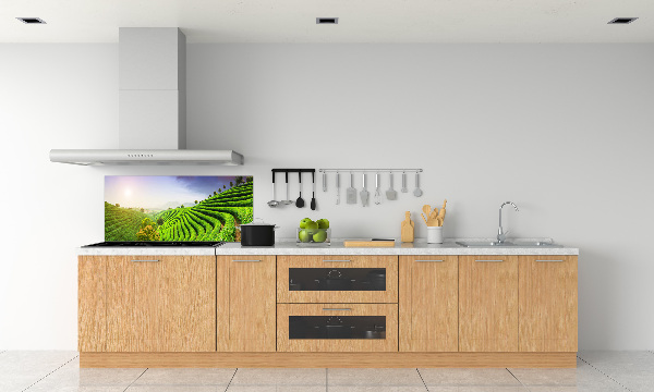 Platte für Küchenrückwand Teeplantage