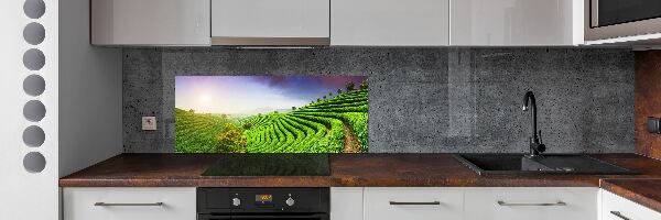Platte für Küchenrückwand Teeplantage