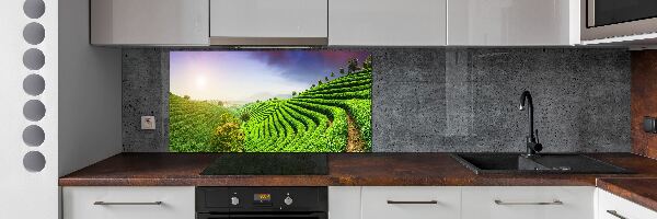 Platte für Küchenrückwand Teeplantage