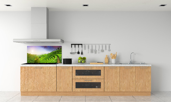 Platte für Küchenrückwand Teeplantage