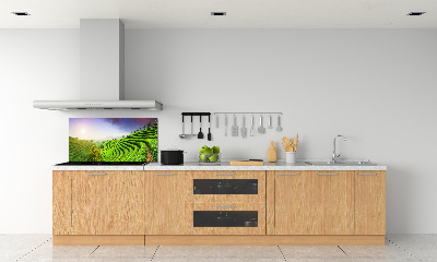 Platte für Küchenrückwand Teeplantage