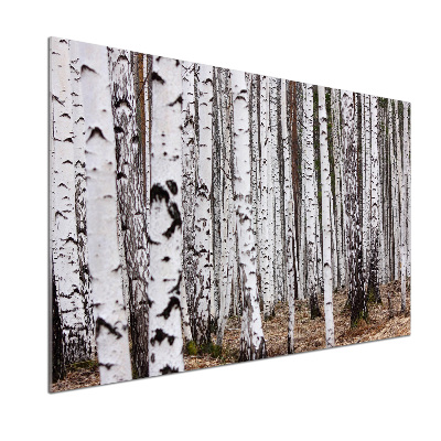 Küchen wandpaneel Birke