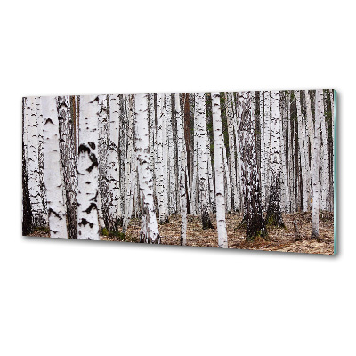 Küchen wandpaneel Birke