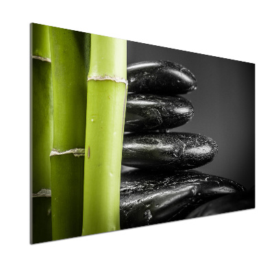 Glasrückwand für die küche Bambus