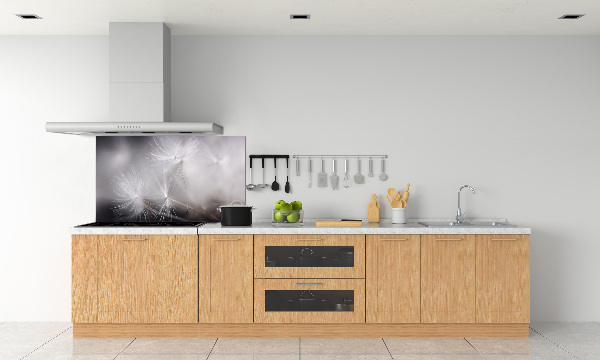 Platte für Küchenrückwand Löwenzahnsamen