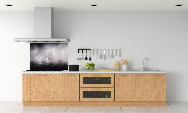 Platte für Küchenrückwand Löwenzahnsamen