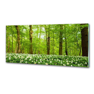 Platte für Küchenrückwand Blumen im Wald
