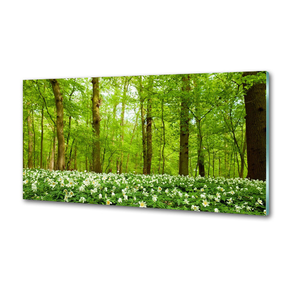 Platte für Küchenrückwand Blumen im Wald