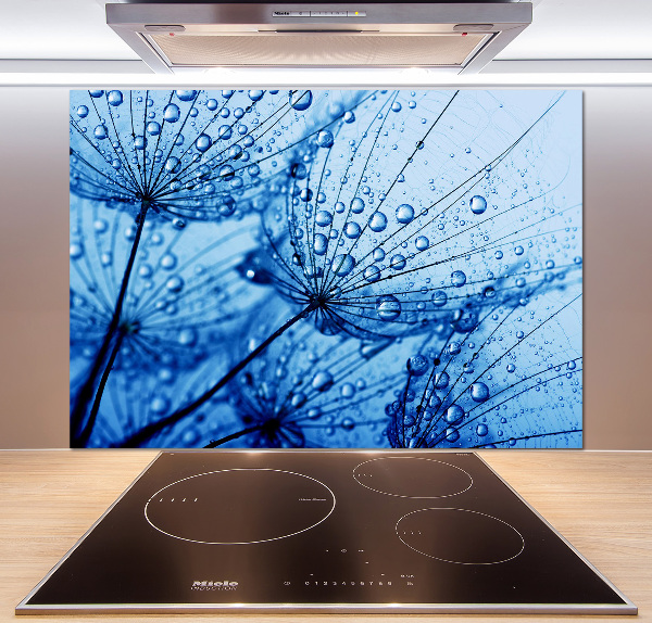 Glasrückwand für die küche Löwenzahnsamen