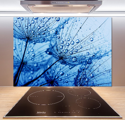 Glasrückwand für die küche Löwenzahnsamen