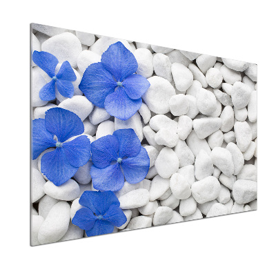 Glasrückwand für die küche Hortensie