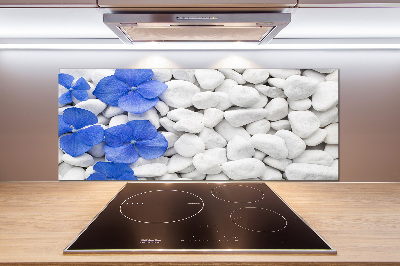 Glasrückwand für die küche Hortensie