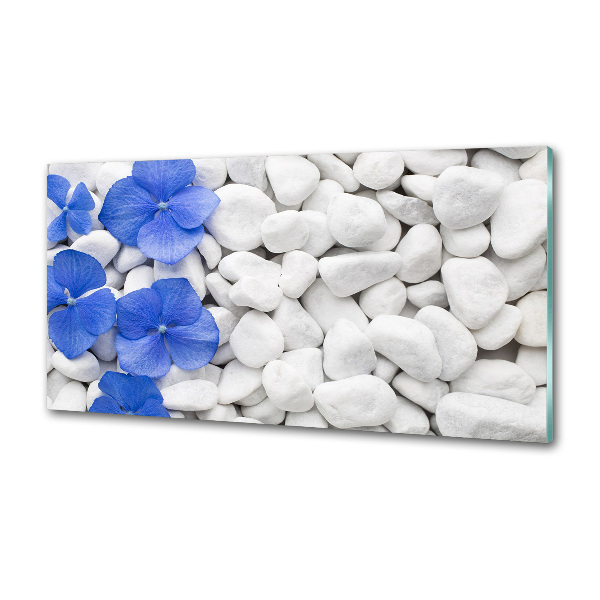 Glasrückwand für die küche Hortensie