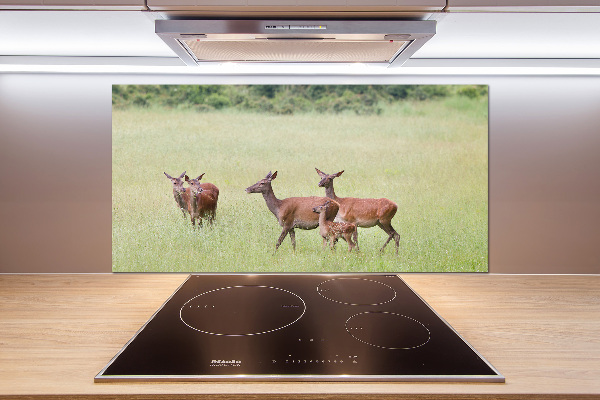 Glasrückwand für die küche Reh mit Jungtieren