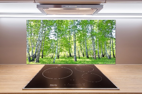 Küchen wandpaneel Birken