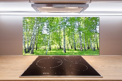 Küchen wandpaneel Birken