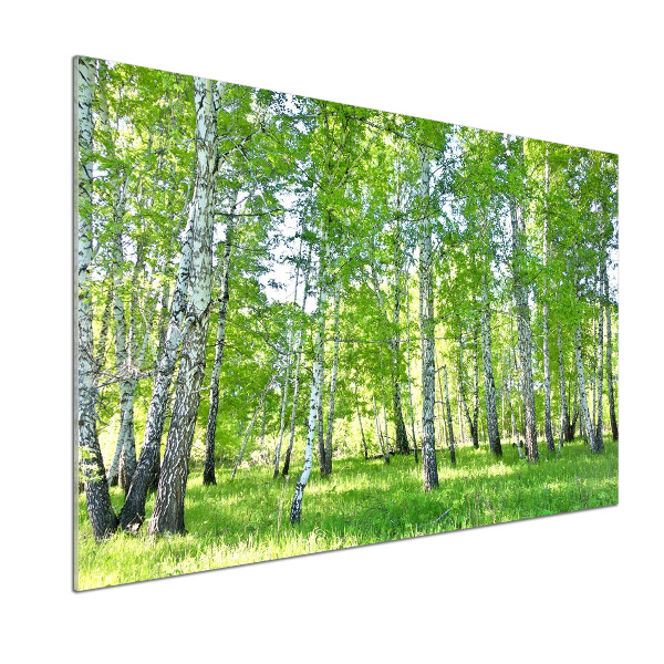 Küchen wandpaneel Birken