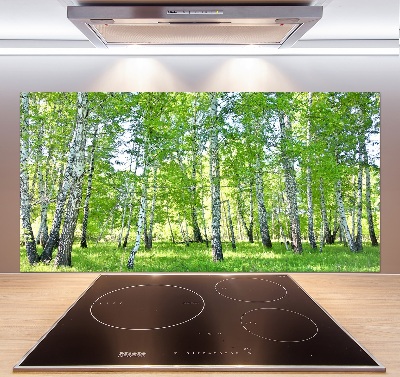 Küchen wandpaneel Birken