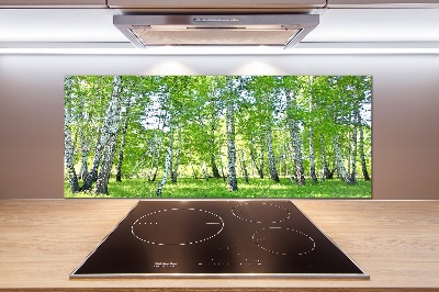 Küchen wandpaneel Birken