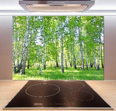 Küchen wandpaneel Birken