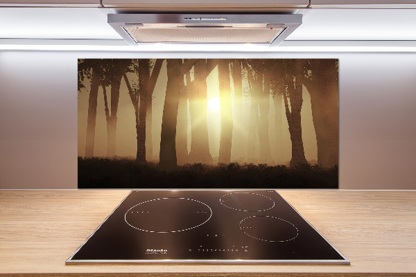 Glasrückwand für die küche Nebel im Wald