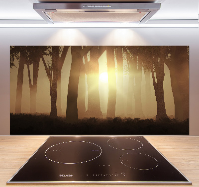 Glasrückwand für die küche Nebel im Wald