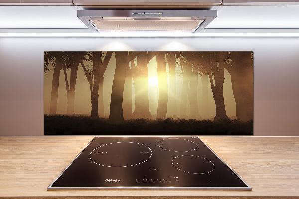 Glasrückwand für die küche Nebel im Wald