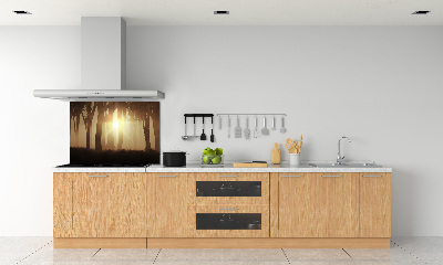 Glasrückwand für die küche Nebel im Wald