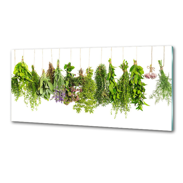 Glasrückwand für die küche Kräuter an einer Schnur