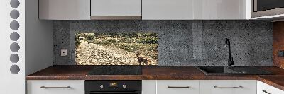 Küchen wandpaneel Zwei Hunde auf einem Hügel