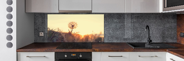 Glasrückwand für die küche Löwenzahn