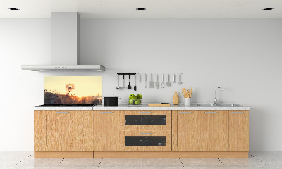 Glasrückwand für die küche Löwenzahn