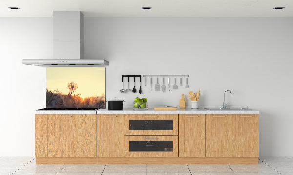 Glasrückwand für die küche Löwenzahn