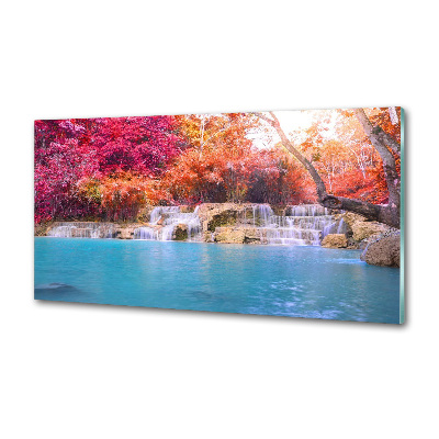 Glasrückwand für die küche Wasserfall im Wald