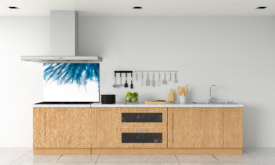 Küchen wandpaneel Blaue Federn