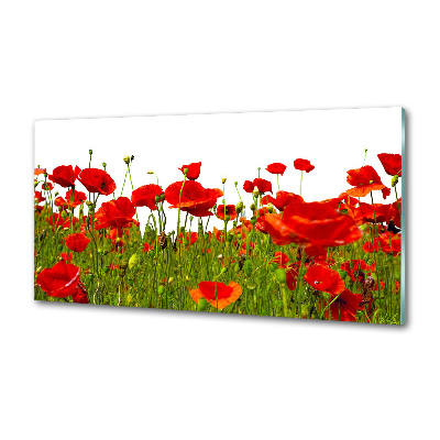 Küchen wandpaneel Feldmohn