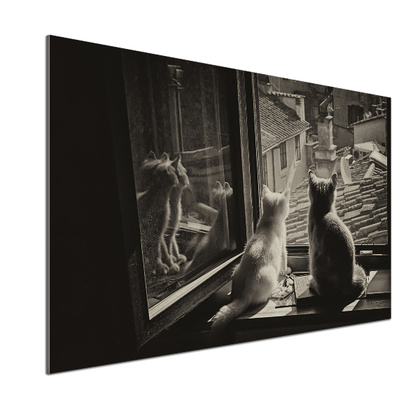 Platte für Küchenrückwand Katzen am Fenster
