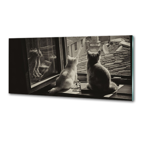 Platte für Küchenrückwand Katzen am Fenster