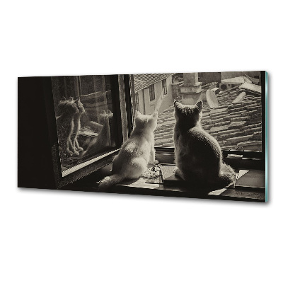 Platte für Küchenrückwand Katzen am Fenster