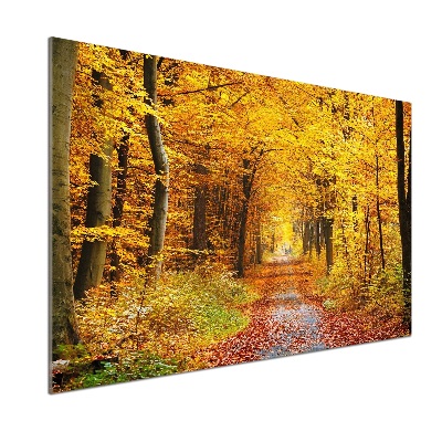 Platte für Küchenrückwand Wald im Herbst