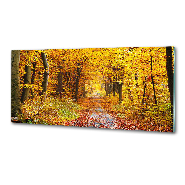 Platte für Küchenrückwand Wald im Herbst