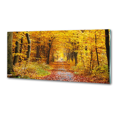 Platte für Küchenrückwand Wald im Herbst