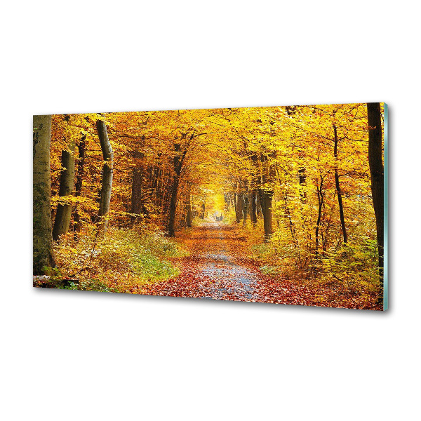 Platte für Küchenrückwand Wald im Herbst