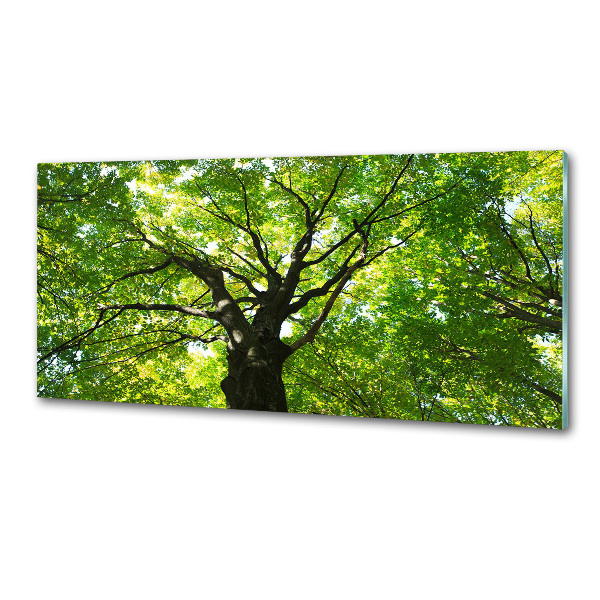 Platte für Küchenrückwand Grüner Wald