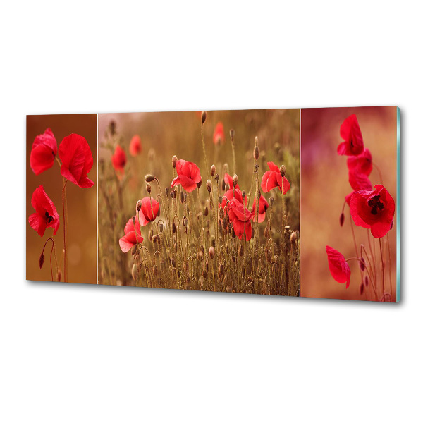 Küchen wandpaneel Mohnblumen-Triptychon