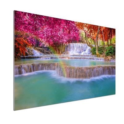 Glasrückwand für die küche Wasserfall im Wald