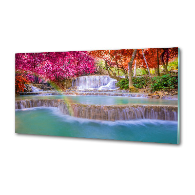 Glasrückwand für die küche Wasserfall im Wald